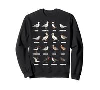 Tipos de Aves Playeras y Aves Marinas - Tabla de Especies de Aves costeras Sudadera