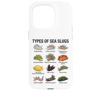Tipos de babosas Marinas Gráfico científico de biología Marina Carcasa para iPhone 15 Pro