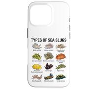 Tipos de babosas Marinas Gráfico científico de biología Marina Carcasa para iPhone 16 Pro