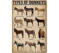Tipos de burros, letreros metálicos de hojalata, decoración de pared, pósteres de conocimiento sobre burros, educación infantil, placa de ciencia popular, decoración para el hogar, patio, habitación,