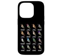 Tipos de Colibríes Coloridos Gráfico de Especies de Colibr Carcasa para iPhone 14 Pro