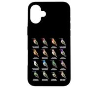 Tipos de Colibríes Coloridos Gráfico de Especies de Colibr Carcasa para iPhone 16 Plus