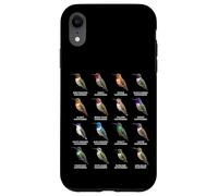 Tipos de Colibríes Coloridos Gráfico de Especies de Colibr Carcasa para iPhone XR