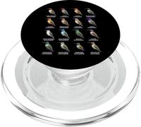 Tipos de Colibríes Coloridos Gráfico de Especies de Colibr PopSockets PopGrip para MagSafe