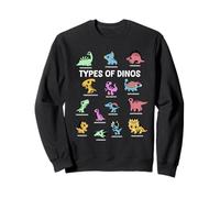 Tipos de Dinosaurios Chibi Kawaii Dino Especies Niños Sudadera