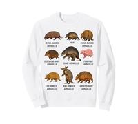 Tipos de Ecología de Especies Educativas de Vida Silvestre de Armadillo Sudadera