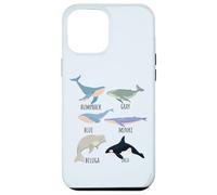 Tipos de especies de ballenas Tabla de mamíferos oceánicos Guía de animales de pescado Carcasa para iPhone 12 Pro Max