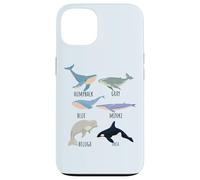 Tipos de especies de ballenas Tabla de mamíferos oceánicos Guía de animales de pescado Carcasa para iPhone 13