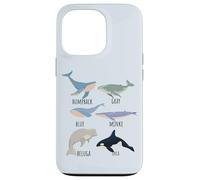 Tipos de especies de ballenas Tabla de mamíferos oceánicos Guía de animales de pescado Carcasa para iPhone 13 Pro