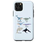 Tipos de especies de ballenas Tabla de mamíferos oceánicos Guía de animales de pescado Carcasa para iPhone 11 Pro
