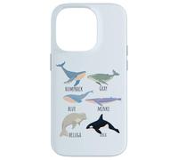 Tipos de especies de ballenas Tabla de mamíferos oceánicos Guía de animales de pescado Carcasa para iPhone 14 Pro