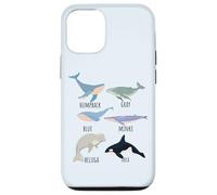 Tipos de especies de ballenas Tabla de mamíferos oceánicos Guía de animales de pescado Carcasa para iPhone 12/12 Pro