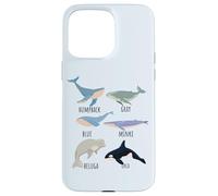 Tipos de especies de ballenas Tabla de mamíferos oceánicos Guía de animales de pescado Carcasa para iPhone 15 Pro Max
