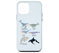 Tipos de especies de ballenas Tabla de mamíferos oceánicos Guía de animales de pescado Carcasa para iPhone 12 mini
