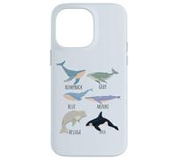 Tipos de especies de ballenas Tabla de mamíferos oceánicos Guía de animales de pescado Carcasa para iPhone 14 Pro Max