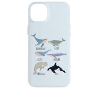 Tipos de especies de ballenas Tabla de mamíferos oceánicos Guía de animales de pescado Carcasa para iPhone 14 Plus