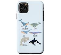 Tipos de especies de ballenas Tabla de mamíferos oceánicos Guía de animales de pescado Carcasa para iPhone 11 Pro Max