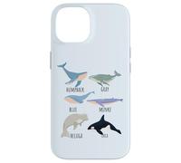 Tipos de especies de ballenas Tabla de mamíferos oceánicos Guía de animales de pescado Carcasa para iPhone 14