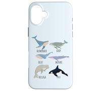 Tipos de especies de ballenas Tabla de mamíferos oceánicos Guía de animales de pescado Carcasa para iPhone 16 Plus