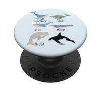 Tipos de especies de ballenas Tabla de mamíferos oceánicos Guía de animales de pescado PopSockets PopGrip Adhesivo
