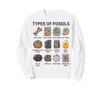 Tipos de fósiles Gráfico Paleontología Ciencia Amantes de los fósiles Sudadera