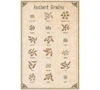 Tipos de granos antiguos, conocimiento sobre granos antiguos, letreros de metal, decoración de pared, carteles de cereales, trigo, infografías de agricultores, letreros de hojalata, hogar, coc