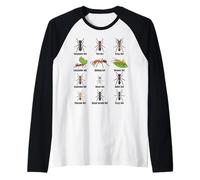 Tipos de Hormigas, Tabla de Especies de Hormigas, Ciencia de Insectos, Entomología Camiseta Manga Raglan