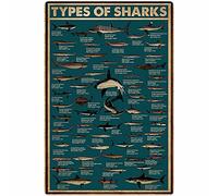 Tipos de osos, tipos de tiburones, carteles, conocimiento científico popular, letreros de metal, decoración de pared, animales, decoración del hogar, decoración de la habitación, placa de impr