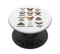 Tipos de polillas Tabla científica educativa de Insectos PopSockets PopGrip Adhesivo