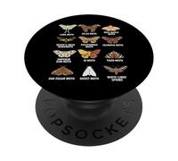 Tipos de polillas Tabla científica educativa de Insectos PopSockets PopGrip Adhesivo
