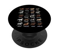 Tipos de Razas de Caballos - Ciencia equina y biología Animal PopSockets PopGrip Adhesivo