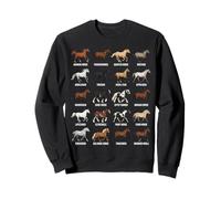 Tipos de Razas de Caballos - Ciencia equina y biología Animal Sudadera
