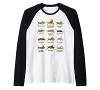 Tipos de Saltamontes y grillos Entomología Educativa Camiseta Manga Raglan