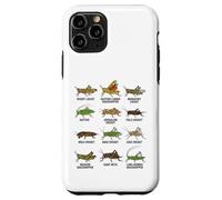 Tipos de Saltamontes y grillos Entomología Educativa Carcasa para iPhone 11 Pro