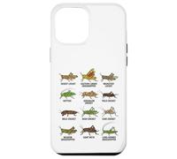 Tipos de Saltamontes y grillos Entomología Educativa Carcasa para iPhone 12 Pro MAX