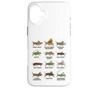 Tipos de Saltamontes y grillos Entomología Educativa Carcasa para iPhone 16 Plus