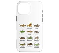 Tipos de Saltamontes y grillos Entomología Educativa Carcasa para iPhone 16 Pro MAX