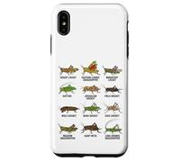 Tipos de Saltamontes y grillos Entomología Educativa Carcasa para iPhone XS MAX