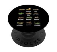 Tipos de Saltamontes y grillos Entomología Educativa PopSockets PopGrip Adhesivo