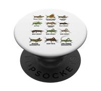 Tipos de Saltamontes y grillos Entomología Educativa PopSockets PopGrip Adhesivo
