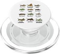 Tipos de Saltamontes y grillos Entomología Educativa PopSockets PopGrip para MagSafe