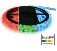 Tira 300 LEDs SMD5050 IP20 RGB+W 12V 144W/m - 5 mts