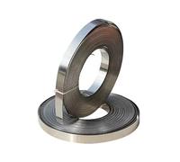 Tira de acero inoxidable 301 de alta elasticidad, Tira de lámina de acero inoxidable 301, 0,1-1 mm de espesor, 5-30 mm de ancho, 5000 mm de largo(0.6x15x5000mm)