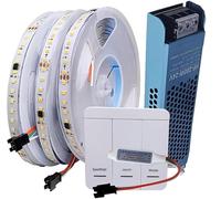 Tira de plomo para carreras de caballos DC24V WS2811 2835 120 LED/m 10 m/rollo Luz de flujo de agua corriente 3000K 4000K 6000K Controlador inalámbrico DC24V 200W de potencia, blanco frío 6000 K.