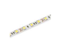Tira LED SMD5050 60 LED 6000K° IP20 Bobina