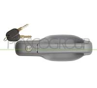 Tirador de puerta delantera izquierda exterior gris con