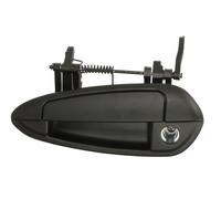 Tirador de Puerta Delantera Izquierda para : Fiat Grande Punto,Punto Evo ,II