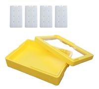 Tiramisu EPP - Caja térmica térmica aislada de 27 litros con cuatro paquetes de hielo, conservador portátil de frescura de alimentos para camping, picnic, almacenamiento de golosinas horneadas (color