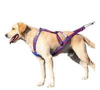 Tirar arnés para Perros Reflectante de Perros Reflectantes múltiples No-Pull Vest Ajustables para Mascotas para Entrenar Caminando Senderismo Cuerda de Plomo para Perros Duradera con Mango fuert