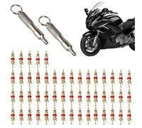 Tire Repair Tool, Valve Core Puller, Tyre Repair Tool, Motorcycle Valve Tool, Stem Puller Tool, 2 x Car Valve Core Remover Stainless Steel Tool for Motorcycles and Cars